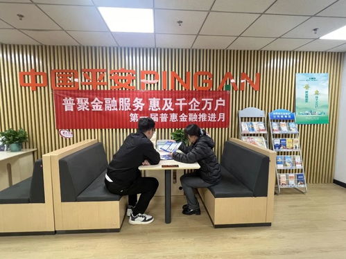 普聚金融服务 惠及千企万户——平安产险分支公司深入推进普惠金融推进月活动